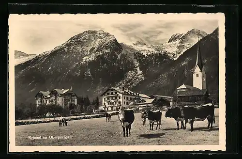 AK Krimml im Oberpinzgau, Teilansicht mit Kirche, Rinder auf der Weide