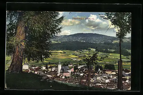 AK Tamsweg, Ortsansicht mit Blick ins Land