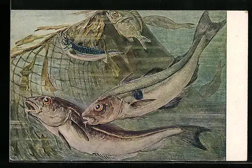 Künstler-AK P. Flaneray: Meinholds Tierbilder Nr. 129, Schellfisch mit Makrele und Brasse