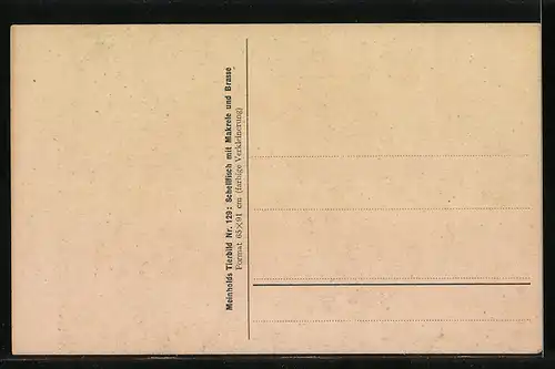 Künstler-AK P. Flaneray: Meinholds Tierbilder Nr. 129, Schellfisch mit Makrele und Brasse