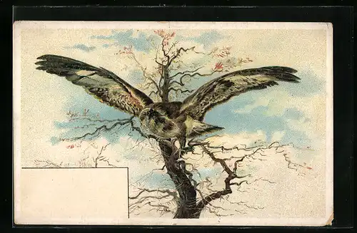 AK Geier im Baum sitzend