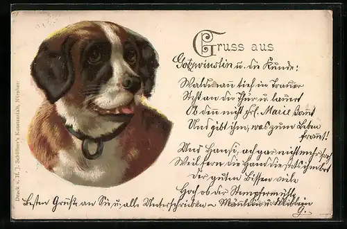 Lithographie Bernhardiner mit Halsband, Portrait