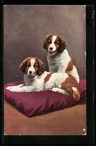 AK Zwei Bernhardinerwelpen auf einem roten Kissen