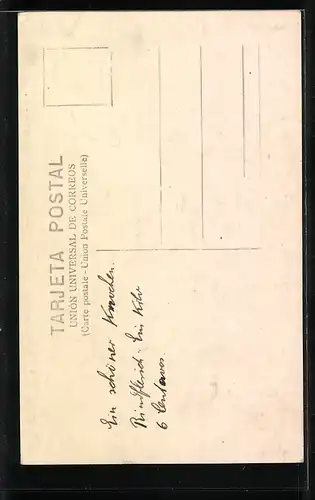 Foto-AK Löwe hinter Gittern im gleissenden Licht