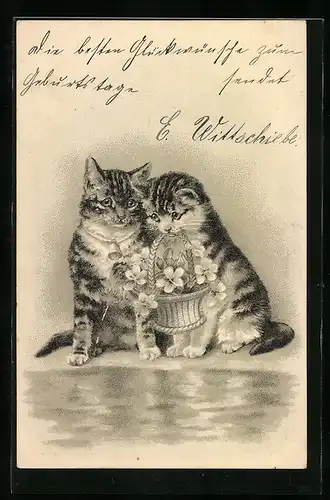 AK Katzen mit Blumenkorb