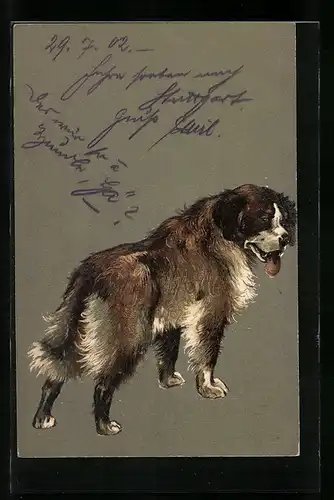 Präge-Lithographie Bernhardiner mit hängender Zunge