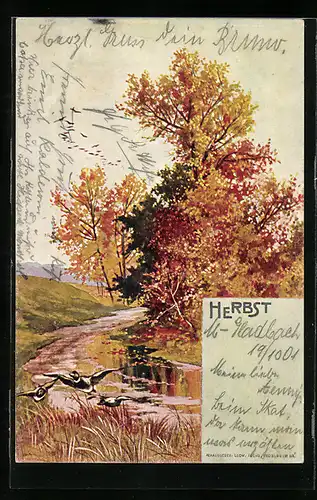 AK Herbst, Landschaft an einem Bach mit Enten über dem Schilf, Allegorie