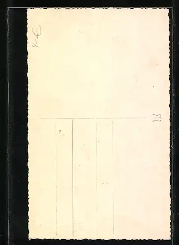 Foto-AK Bürgerliche Dame mit Pelz und Handtasche