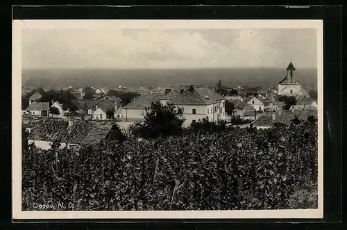 AK Oggau /N.-D., Panorama