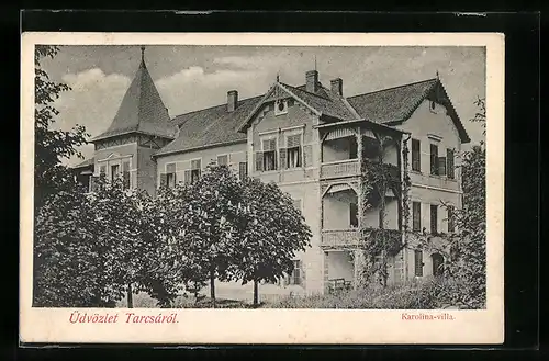 AK Tarcsa, Karolina-villa