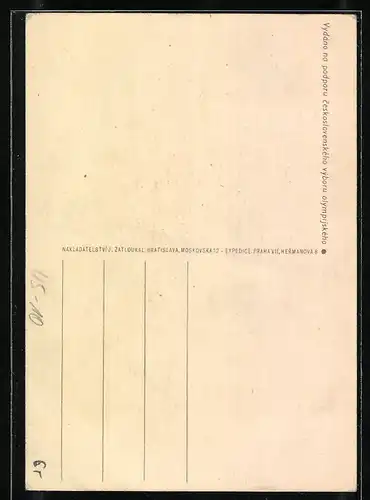 Künstler-AK Boxer im Ring