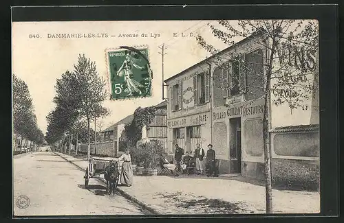 AK Dammarie-les-Lys, Avenue du Lys