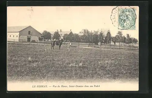 AK Le Perray, Vue du Haras, Saint-Damien dans son Padok