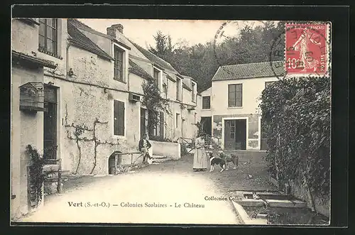 AK Vert, Colonies Scolaires, Le Chateau