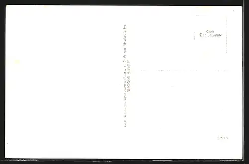 AK Rust am Neusiedlersee, Ortsansicht mit Kirche