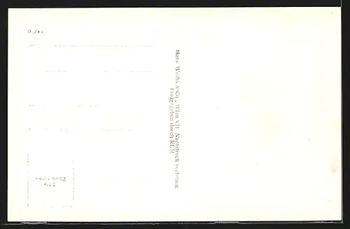 AK Eisenstadt, Ortsansicht vom Flugzeug aus