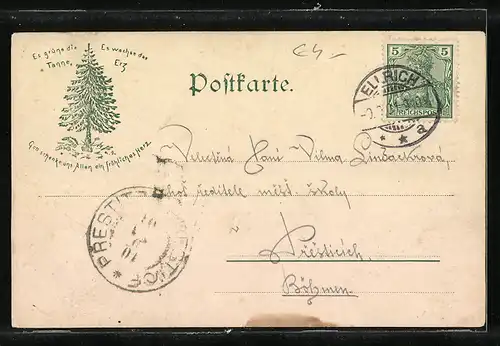 AK Benneckenstein, Ortsansicht mit Rinderherde und Brocken