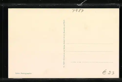 AK Weingarten, Württ., Umzug der Heiligblutritter