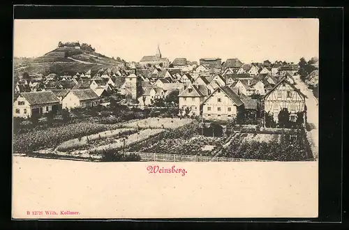 AK Weinsberg, Ortsansicht mit Garten aus der Vogelschau