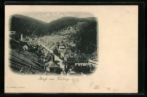 AK Triberg, Panorama