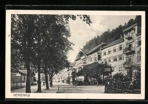 AK Herrenalb, Strassenpartie mit Café Harzer