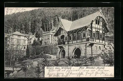 AK Wildbad, Neue Milchkur-Anstalt