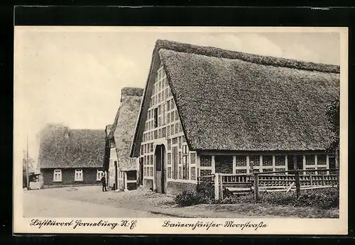 AK Horneburg, Bauernhäuser in der Moorstrasse