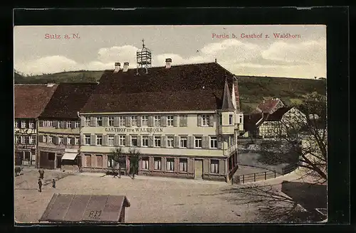 AK Sulz a. Neckar, Strassenpartie am Gasthof zum Waldhorn