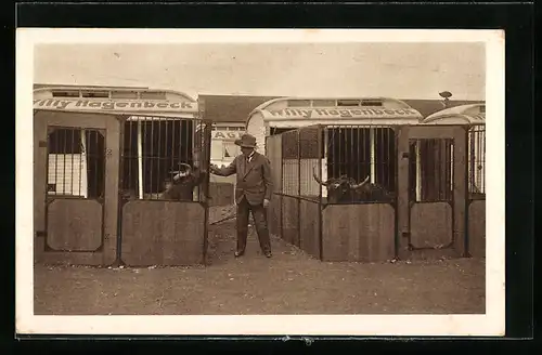 AK Tiergehege im Zirkus Willy Hagenbeck