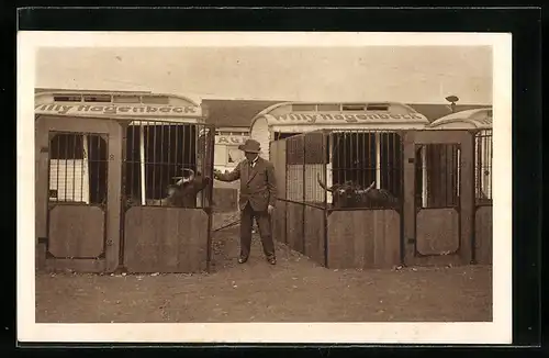 AK Tiergehege im Zirkus Willy Hagenbeck