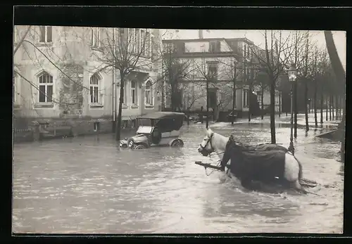 AK Coburg, Hochwasser 1909, Auto und Pferde in den Fluten