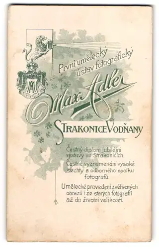 Fotografie Max Adler, Strakonice Vodnany, Löwe mit Plattenkamera über Wappen mit Monogramm des Fotografen