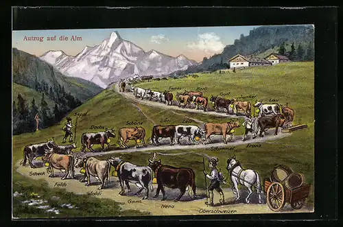 AK Aufzug auf die Alm, ein Oberschweizer Bauer treibt seine Kühe den Hang hinauf, Flurkreuz