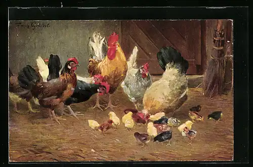AK Hühner mit Küken im Stall
