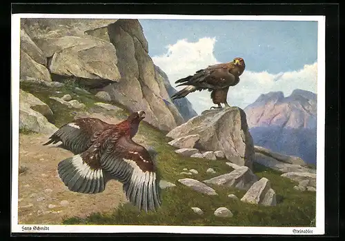 Künstler-AK Steinadlerpaar im Gebirge