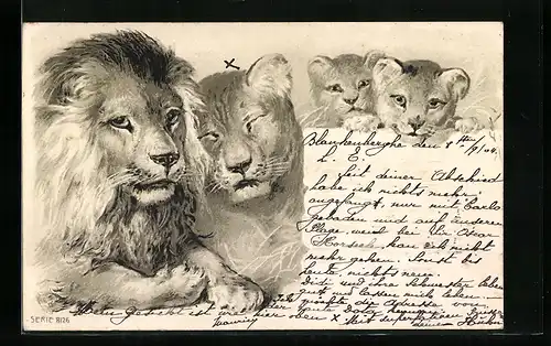 Lithographie Löwenpaar mit zwei Jungen