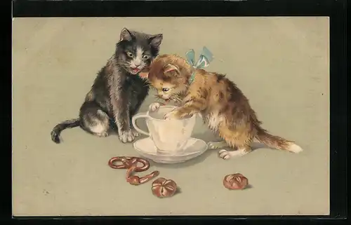 Künstler-AK Kleine Katzen erforschen den Inhalt einer Tasse