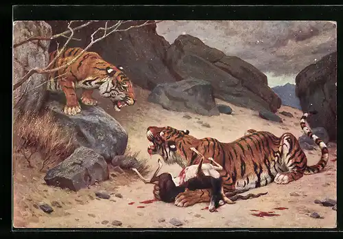Künstler-AK Tiger mit einer Beute