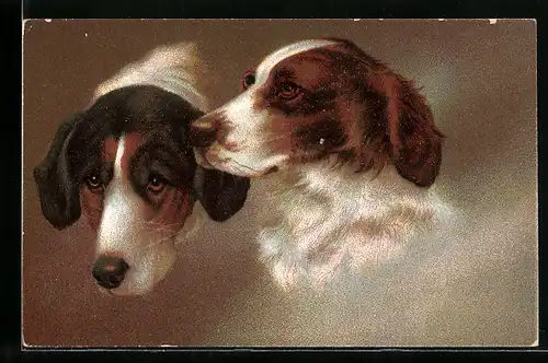 AK Zwei Jagdhunde, Portrait
