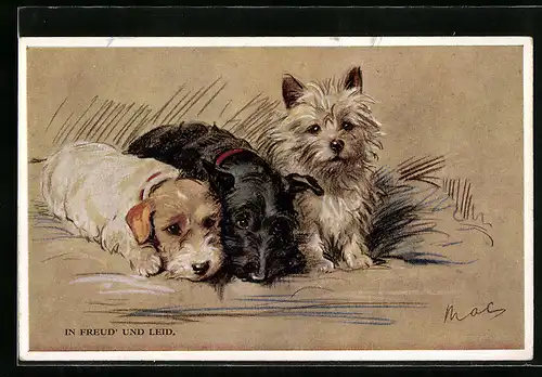 AK In Freud und Leid, Drei Terrier