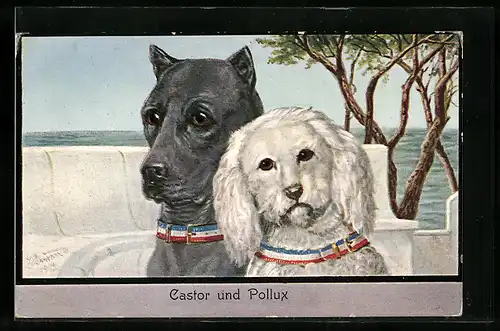 AK Castor und Pollux, Zwei Hunde am Meer