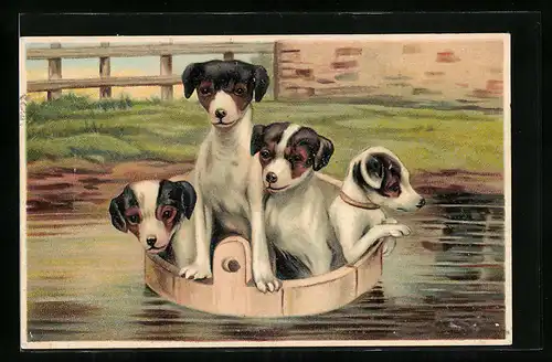 AK Vier junge Hunde treiben in einer Waschschüssel im Fluss