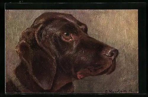 Künstler-AK Porträt eines Deutschen Vorstehhundes
