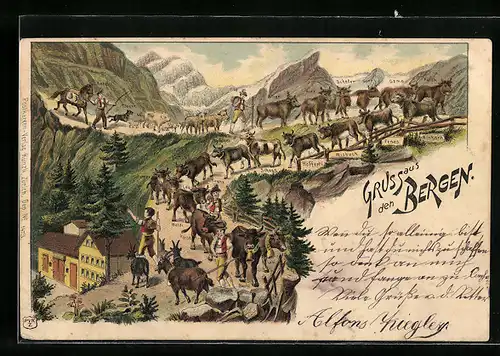 Lithographie Kuhherde beim Almabtrieb, Gruss aus den Bergen