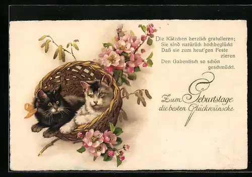 Lithographie Zwei Katzen in einem Korb, Blühender Zweig, Geburtstagsgruss