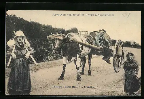 AK Bauer und Begleiterinnen mit Ochsen-Gespann in den Ardennen