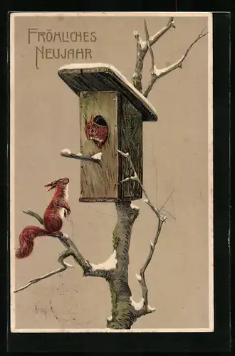 AK Eichhörnchen haben ein Vogelhäuschen bezogen