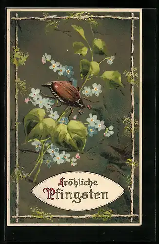 Präge-AK Maikäfer und Vergissmeinnicht als Pfingstgruss
