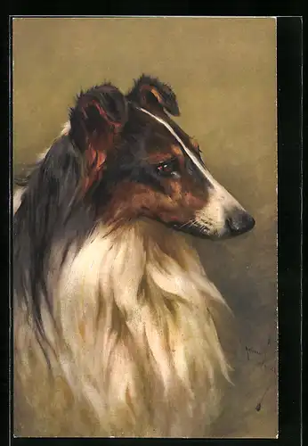 Künstler-AK Kopf eines Collie im Profil