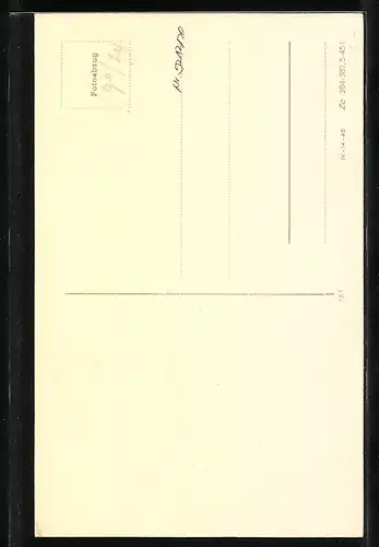 AK Langhaar-Dackel in Wartestellung